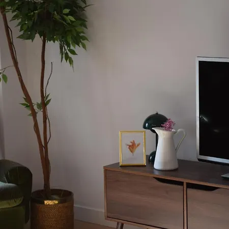 Apartment Oe Concept
